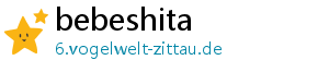 bebeshita