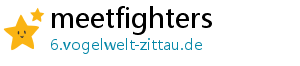 meetfighters