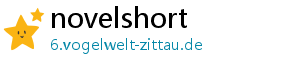 novelshort