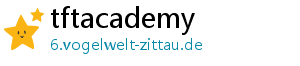 tftacademy