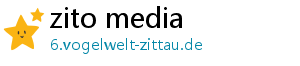 zito media